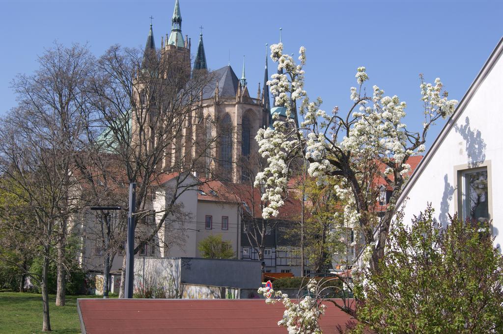 Pension Am Dom Erfurt Extérieur photo