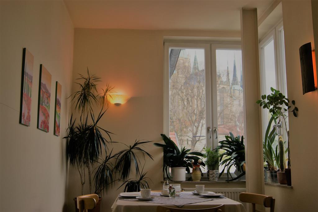 Pension Am Dom Erfurt Extérieur photo